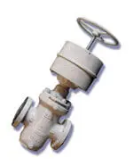 gate valve