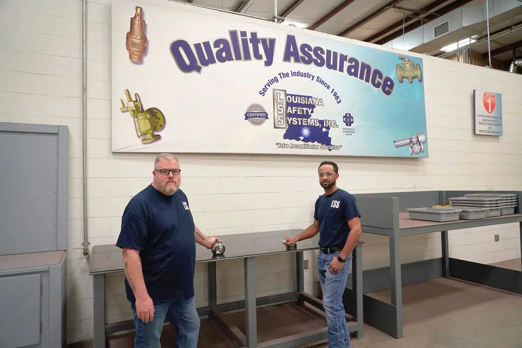 quality assurance team